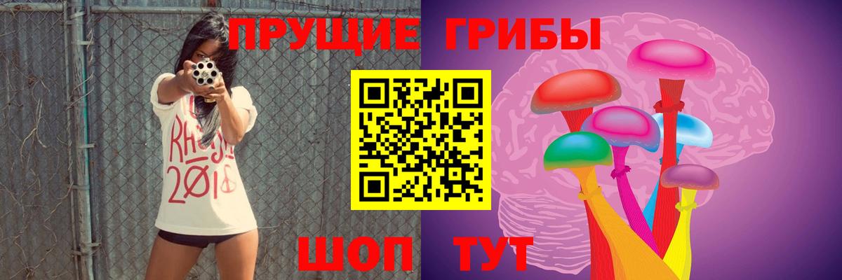 Владимир  Псилоцибиновые грибы MAGIC MUSHROOMS  Вход с VPN 